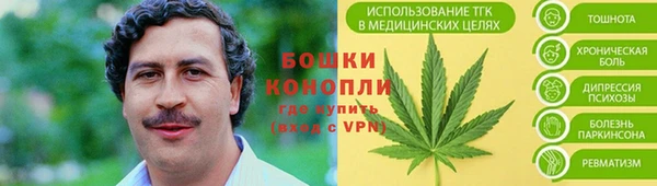 spice Няндома