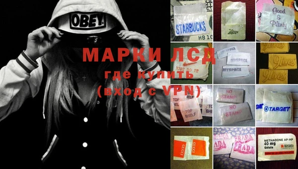 spice Няндома