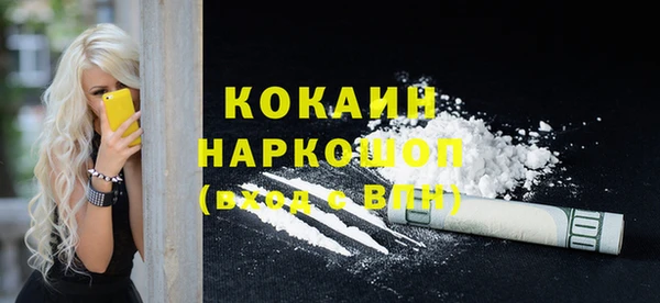 spice Няндома
