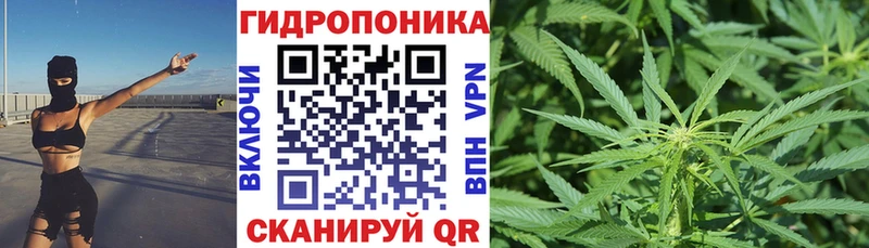 как найти закладки  Владимир  Конопля MAZAR 
